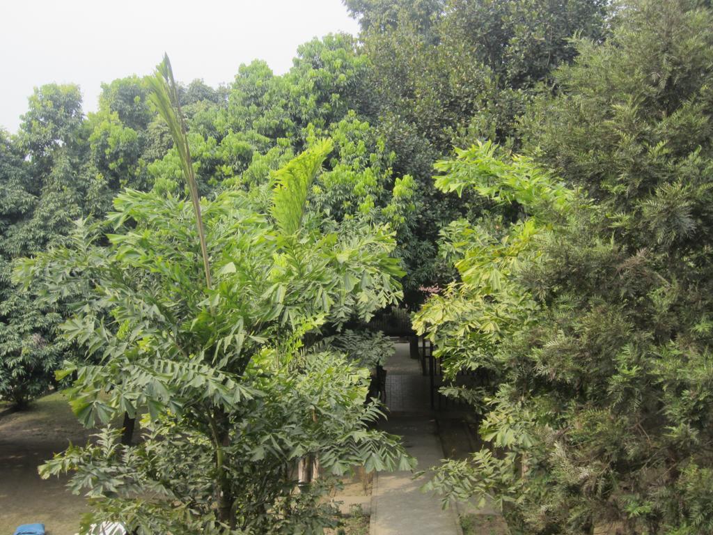 Hotel Parkland Sauraha Exterior photo