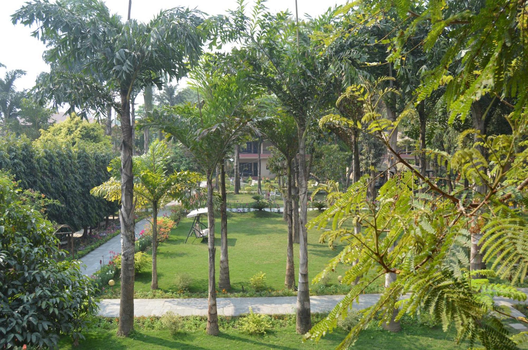 Hotel Parkland Sauraha Exterior photo